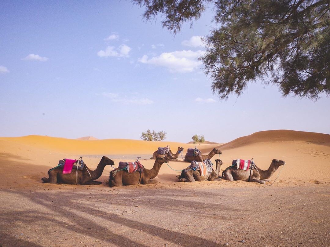 Morocco desert tours from tangier